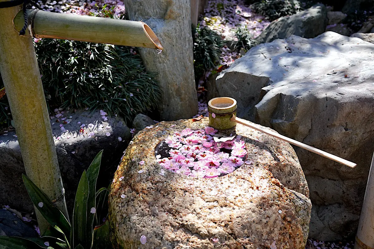鈴鹿の森庭園の風流な花手水