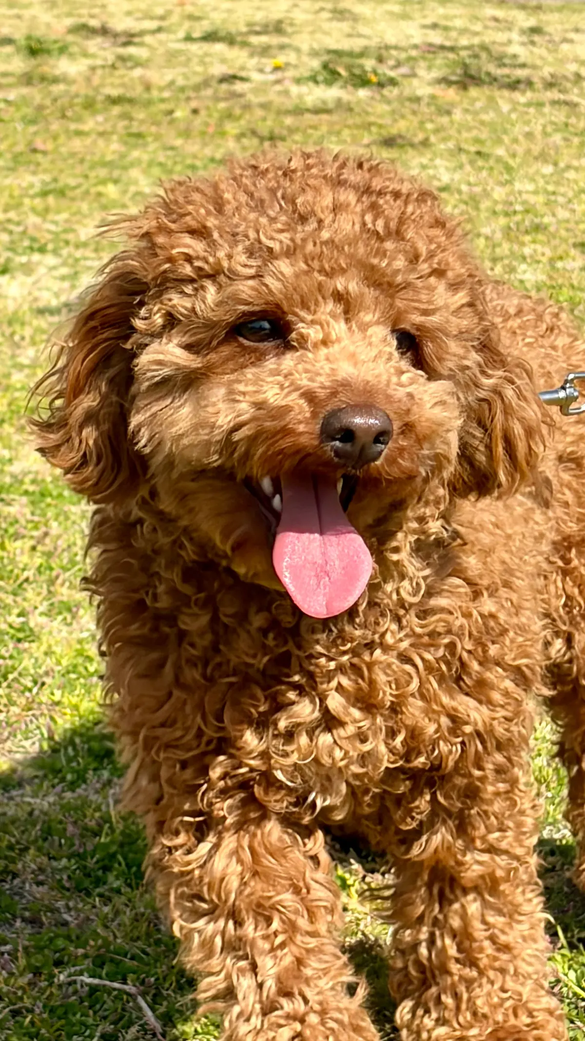 ときめく散歩道の画像_7