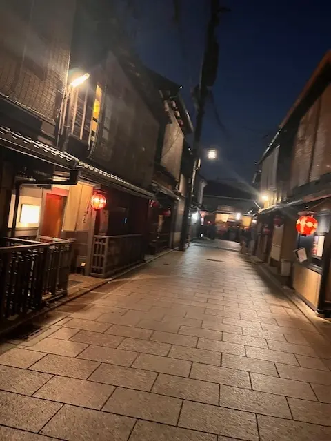 母との京都旅行　高台寺のライトアップが素の画像_8