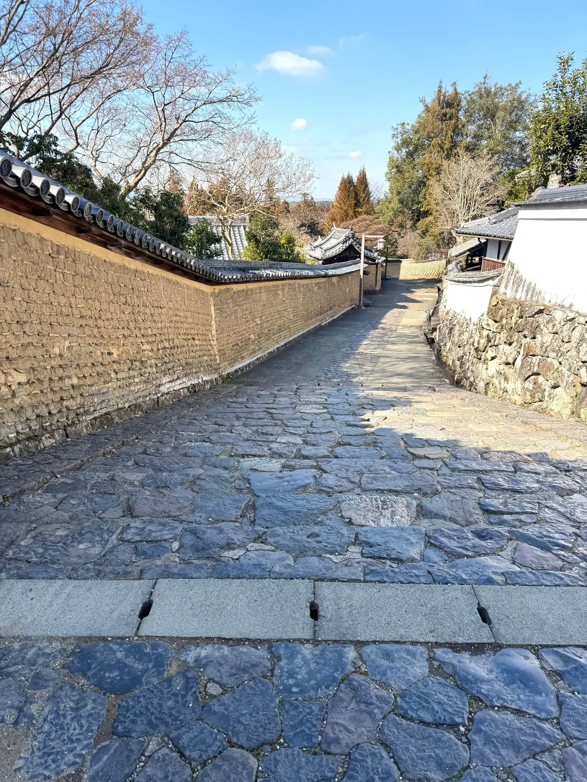 美味いもん＆御朱印を求めて母娘弾丸2人旅の画像_28