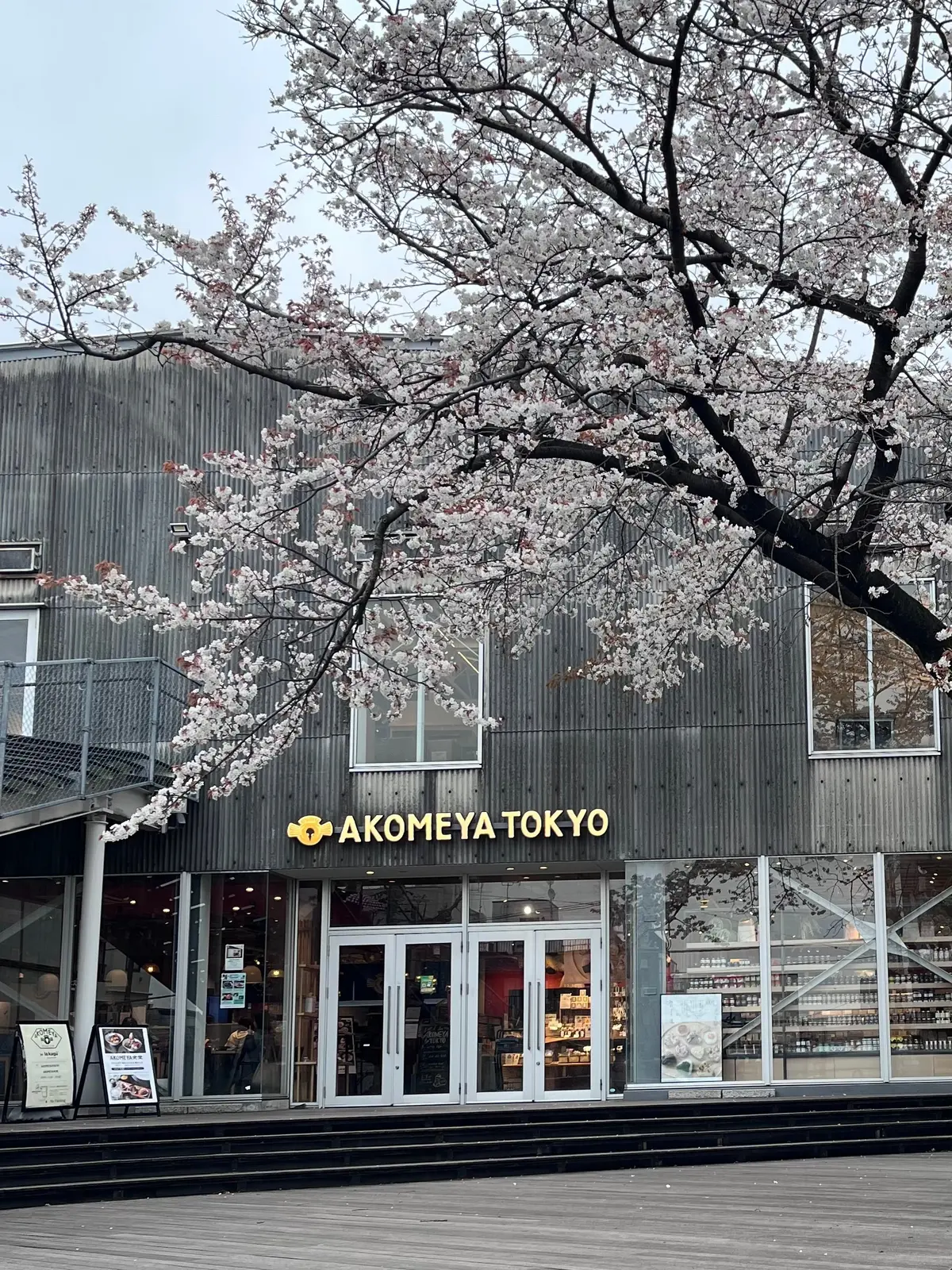 やっぱりかき氷も〝桜🌸〟＆いろいろなことの画像_10
