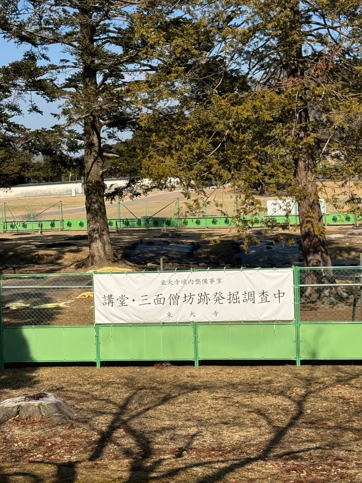 美味いもん＆御朱印を求めて母娘弾丸2人旅の画像_34