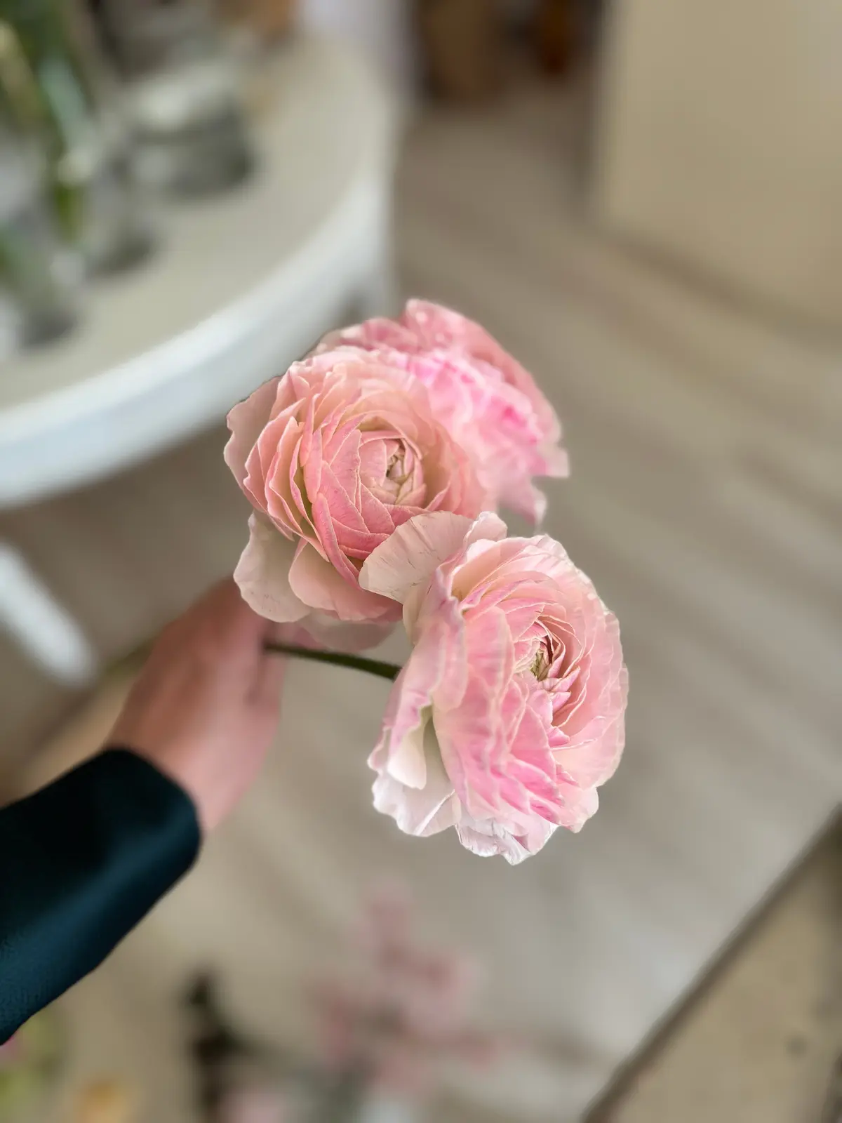 chez sakura ラナンキュラス