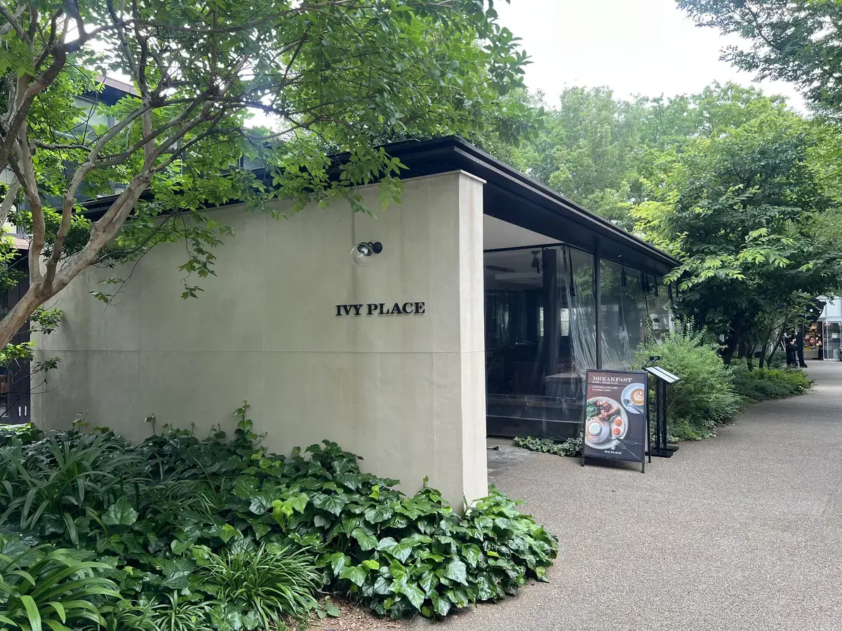 IVY PLACE