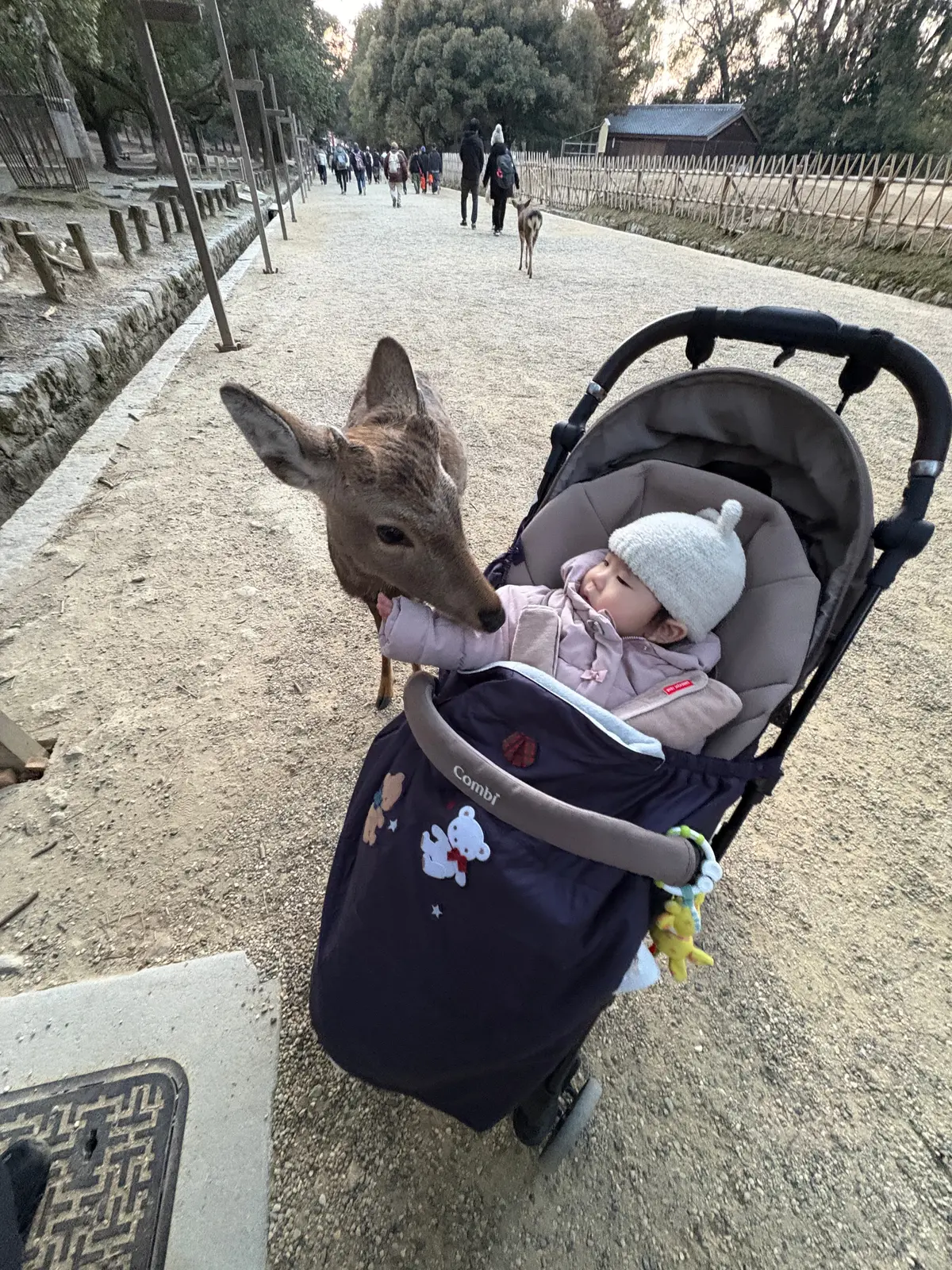 若草山焼き。冬の奈良に灯る、特別な夜の画像_6
