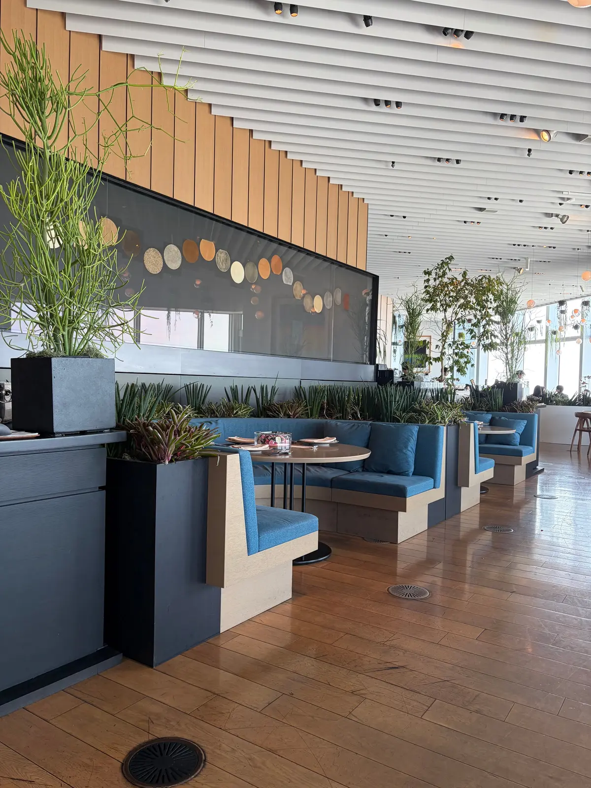 アフタヌーンティー　いちごのアフタヌーンティー　六本木　六本木ヒルズ THE MOON  六本木美術館　Strawberry & Chocolate AfterMOON カフェ スイーツ　ショートヘア　ショートボブ　アラフィフ　