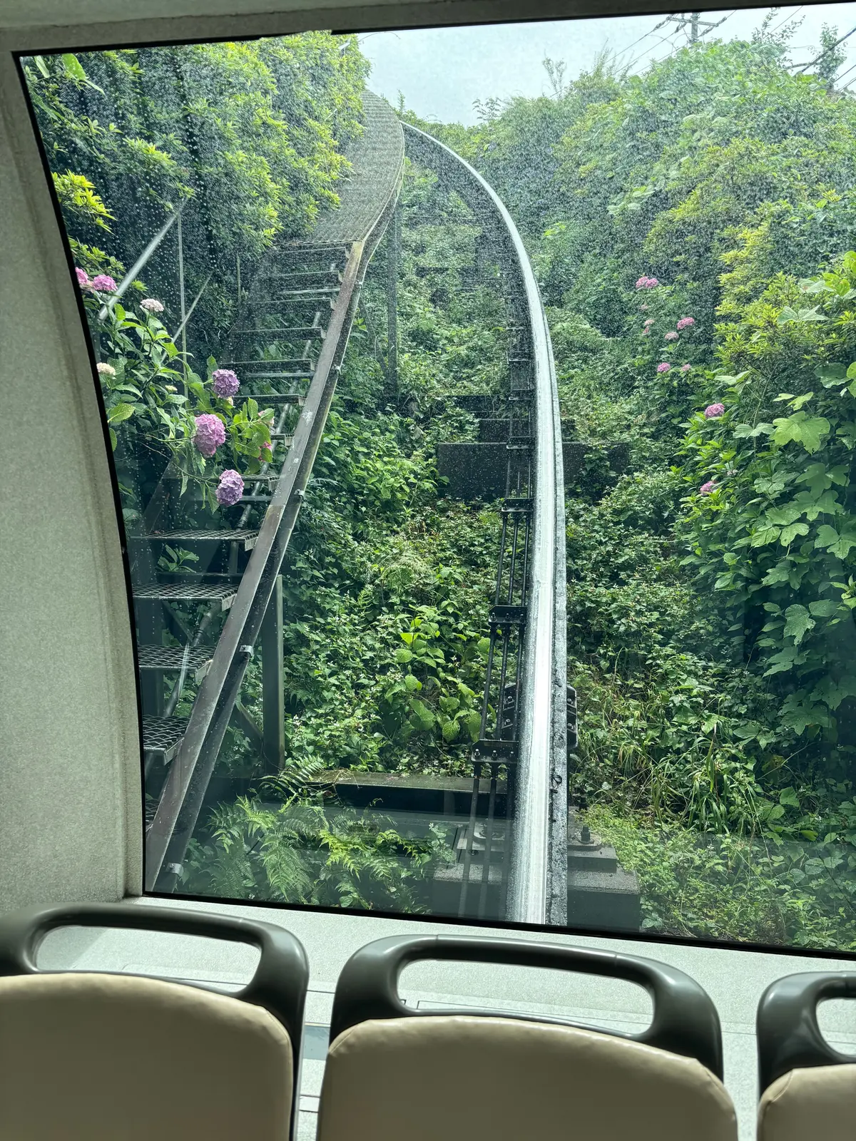 屋内の乗り物から見える緑豊かな山林とカーブした鉄製の鉄道線路、窓の外に咲く紫の花