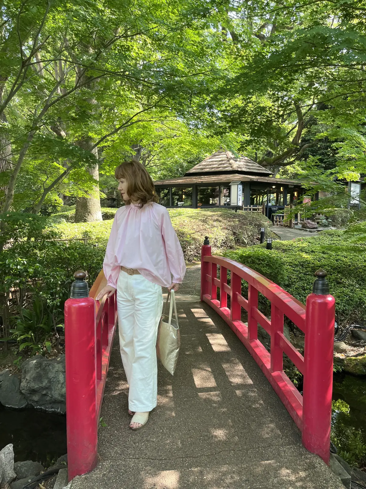 バラを見に永田町への画像_17