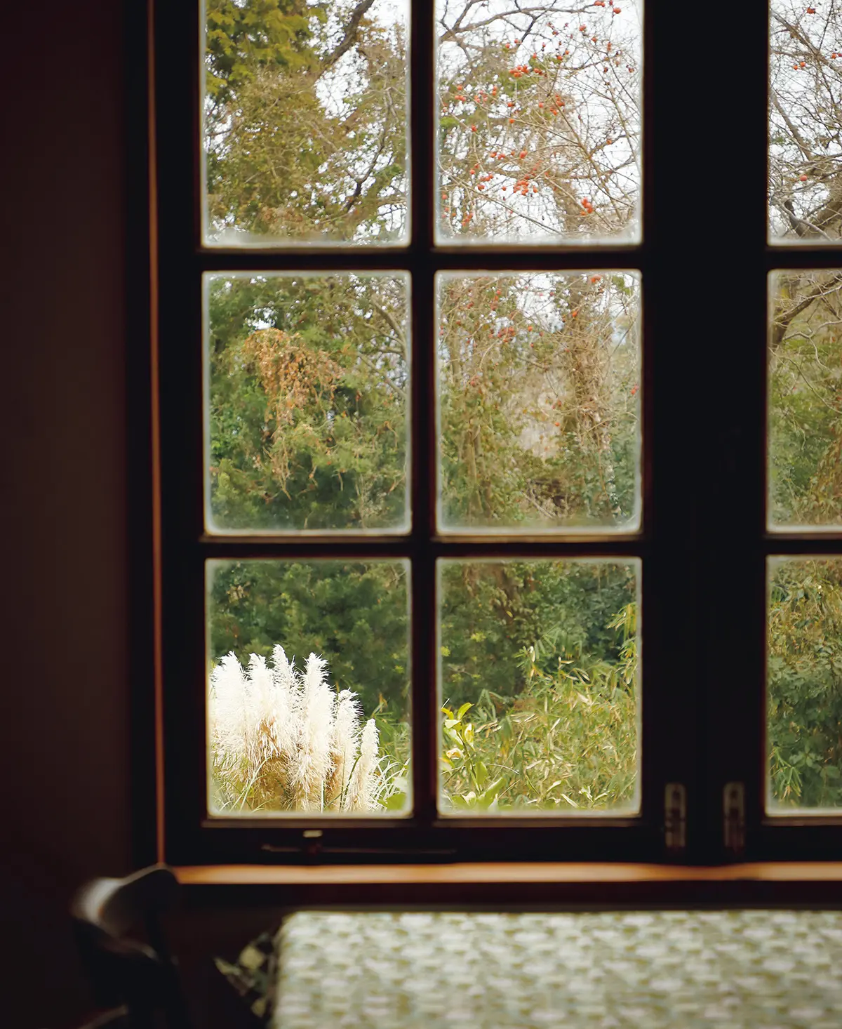 どの席からも庭の緑を望める