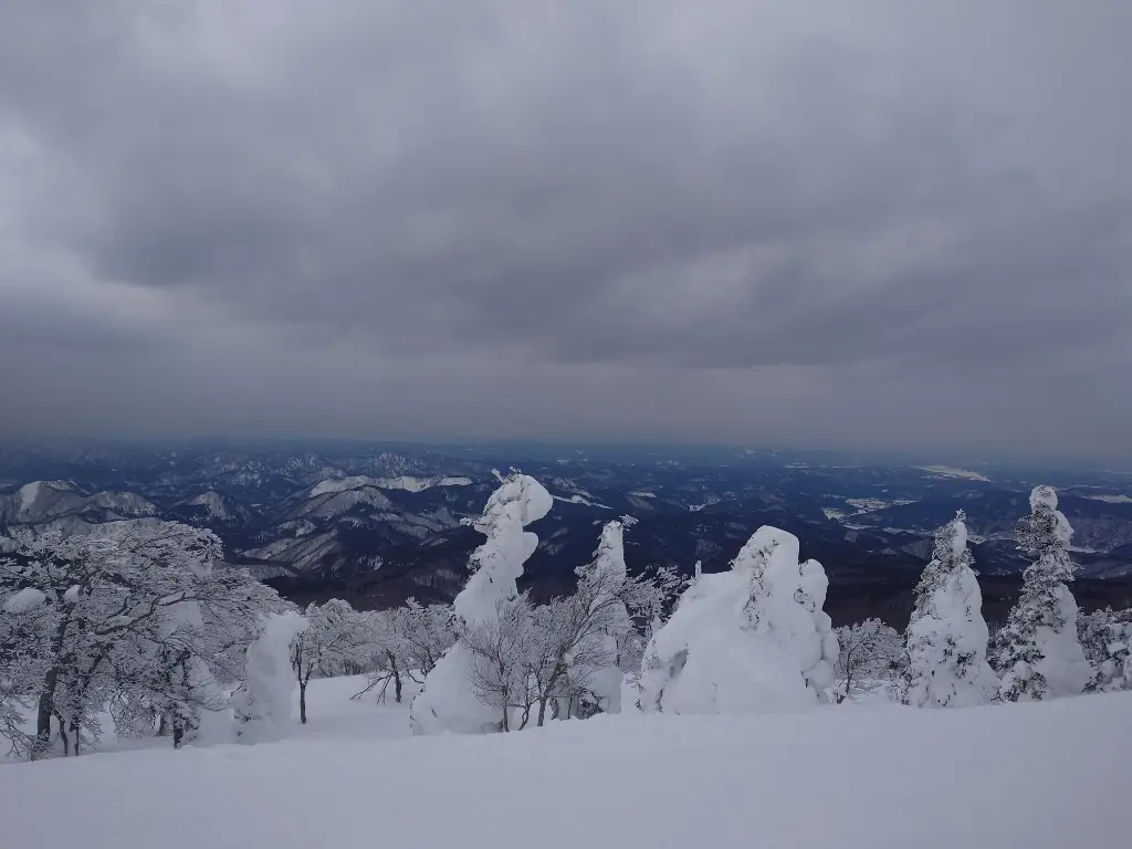 森吉山樹氷平からの景色