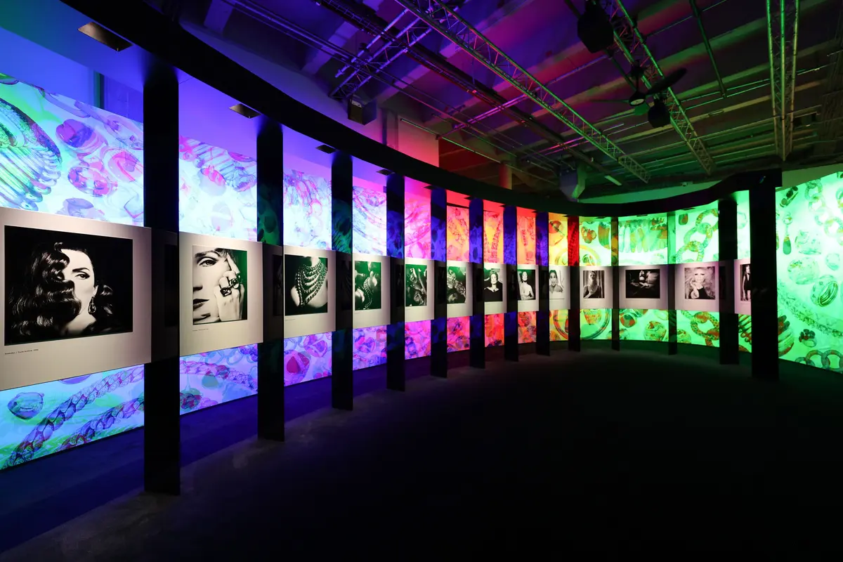 ポメラート ― 革新のジュエラー　展覧会　展示