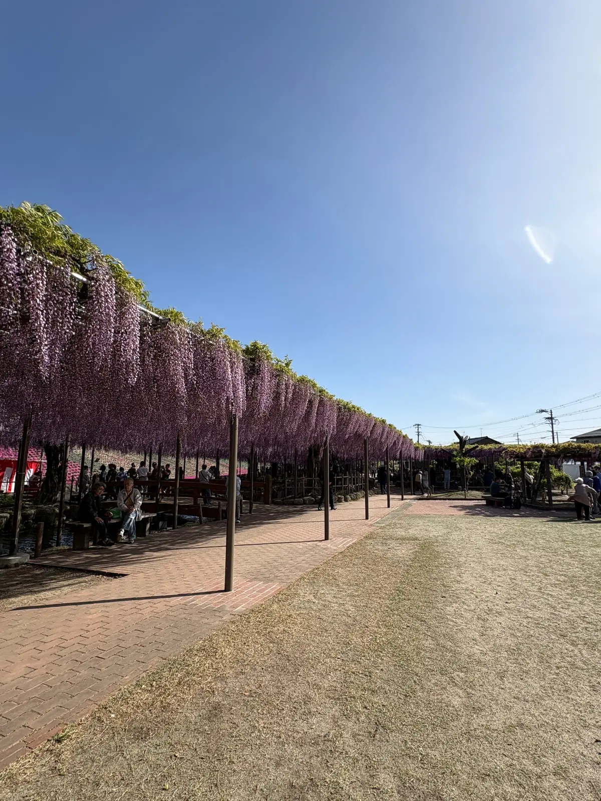 姉とふたり、笑いながら過ごした時間。の画像_2