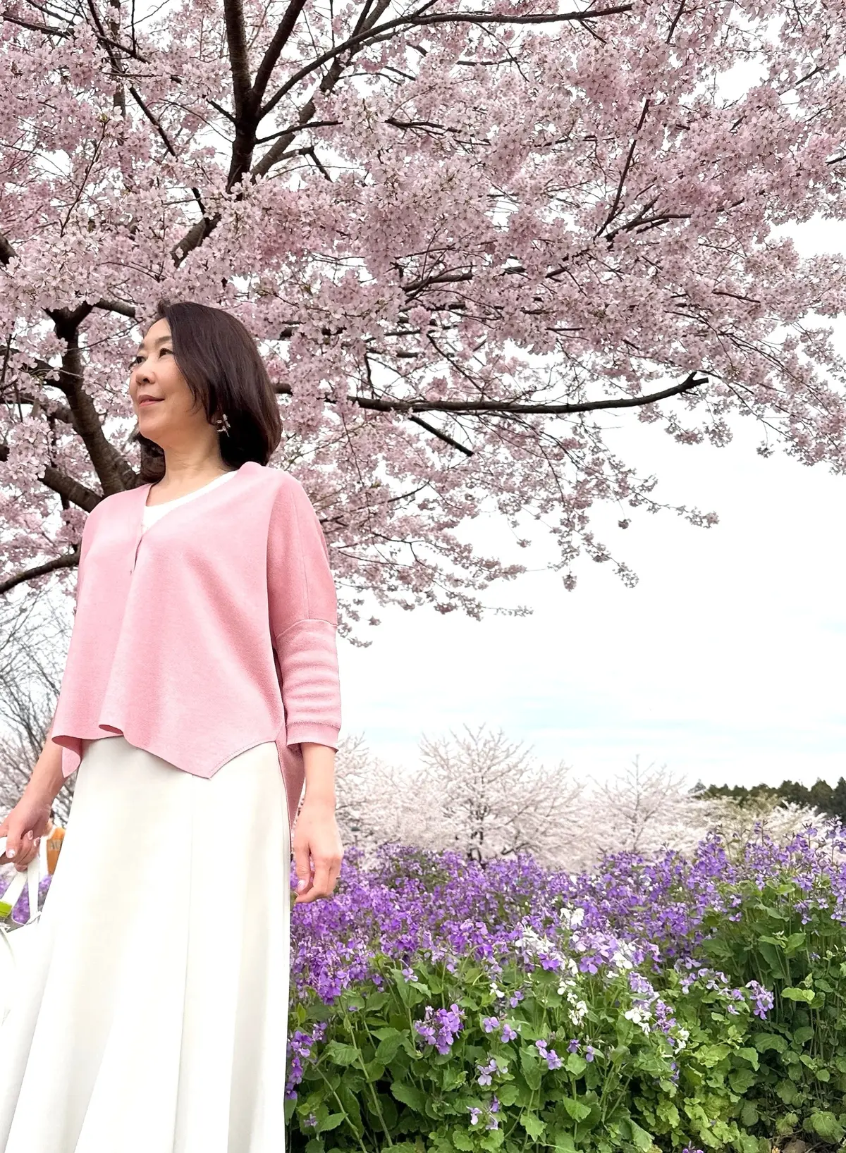 赤城南面千本桜