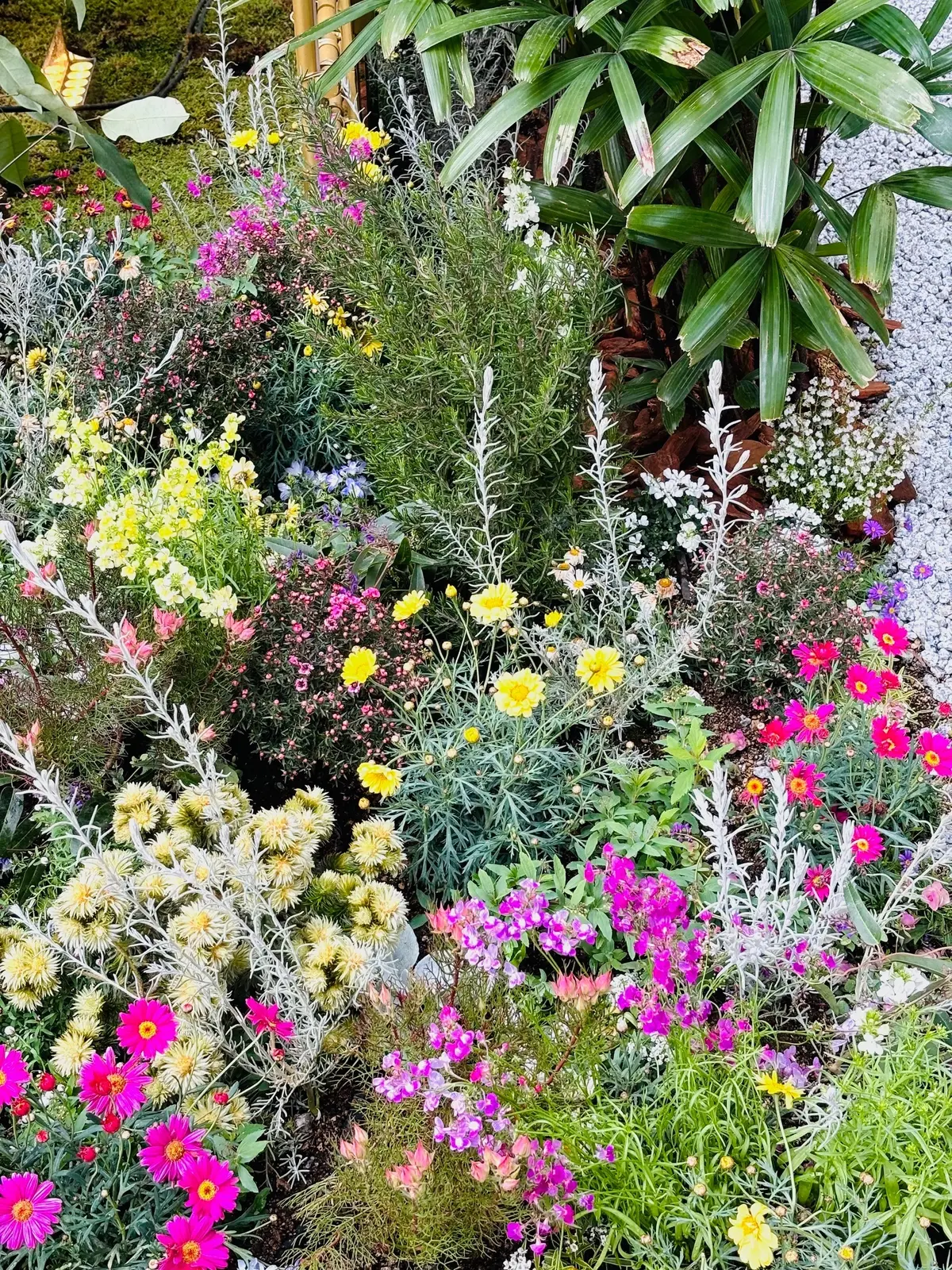 庭園 植物 ディオール バンブー パビリオン カフェ　代官山