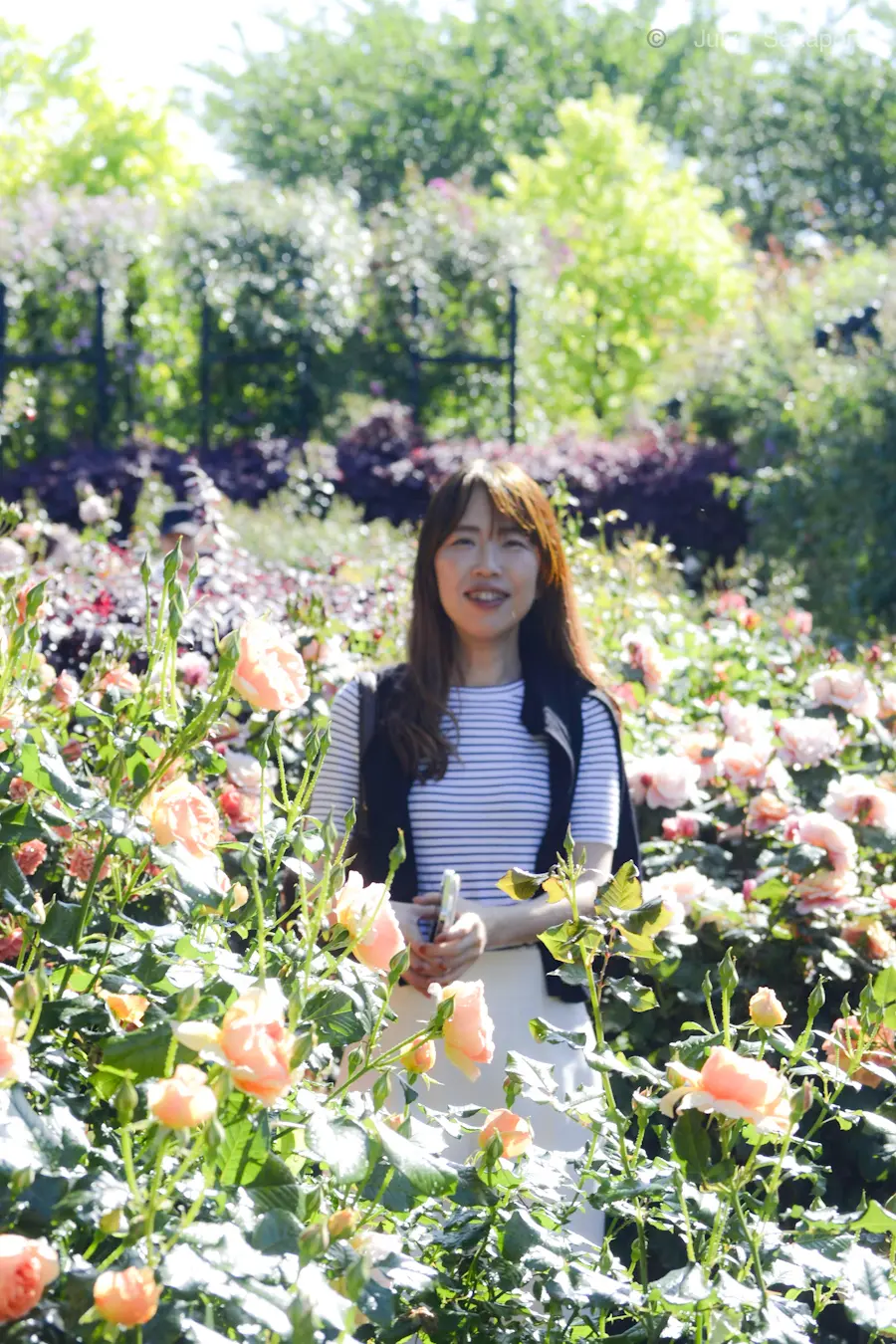 【ＧＷ特集】夢のようなバラの庭園🌹横浜イの画像_3