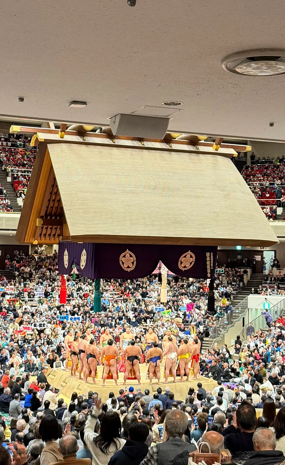 人生初！ZARAのキレイめシャツで大相撲の画像_4