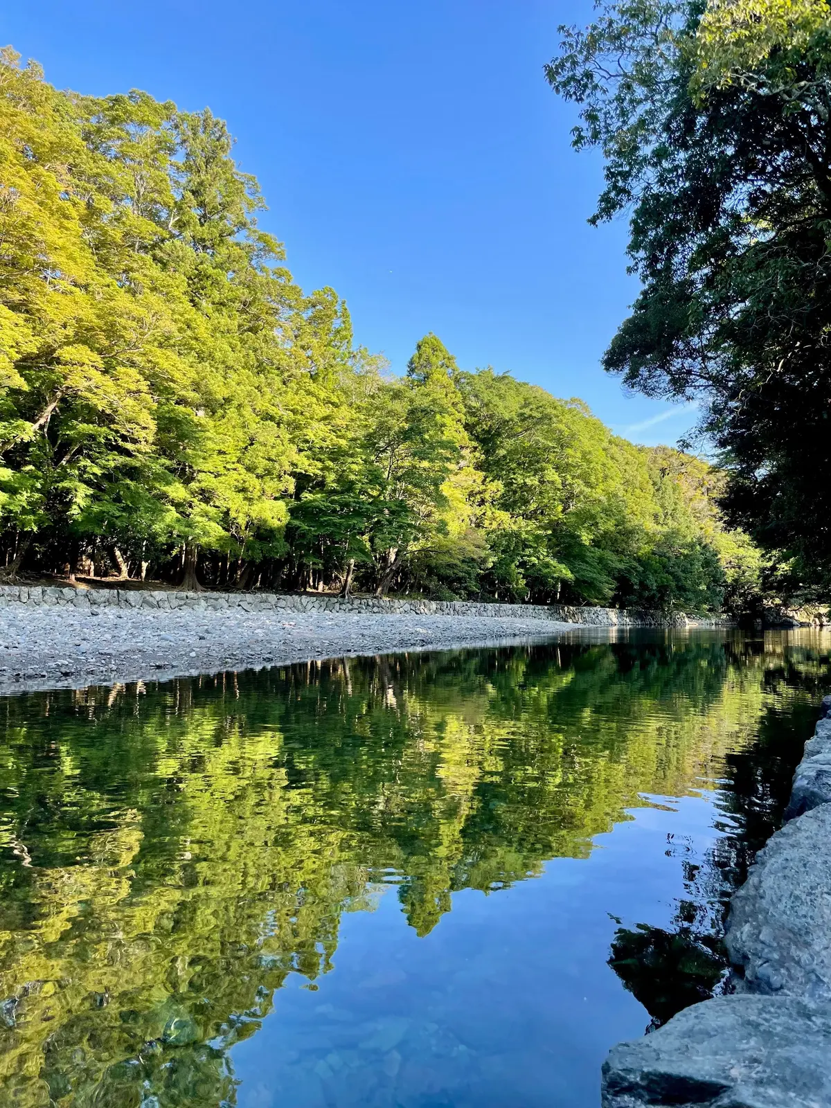 穏やかな水面が緑豊かな森林を映し出す、静かな川の風景。青空の下、水辺には白い小石が並び、右岸には岩場が続く。