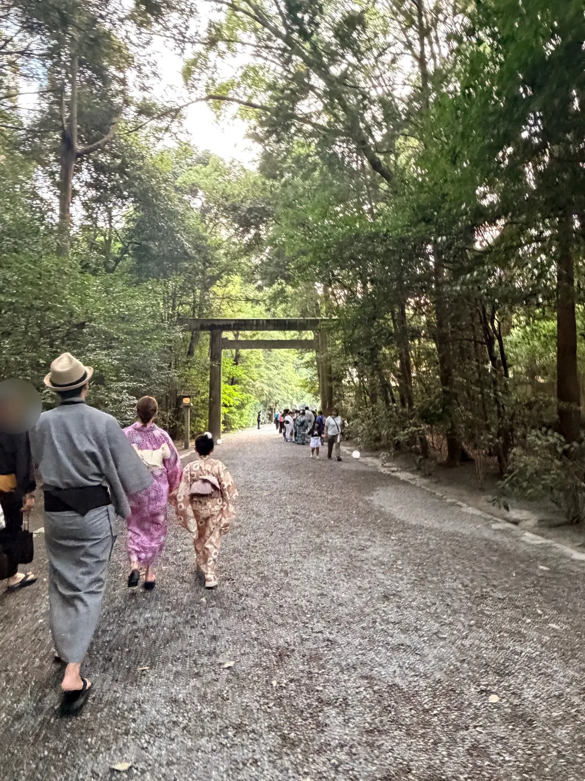 石畳の道が、緑豊かな木々の間を抜け、鳥居へと続いています。先頭には帽子をかぶった男性と着物姿の女性、そして別の女性が歩いています。後ろには人影が見えます。