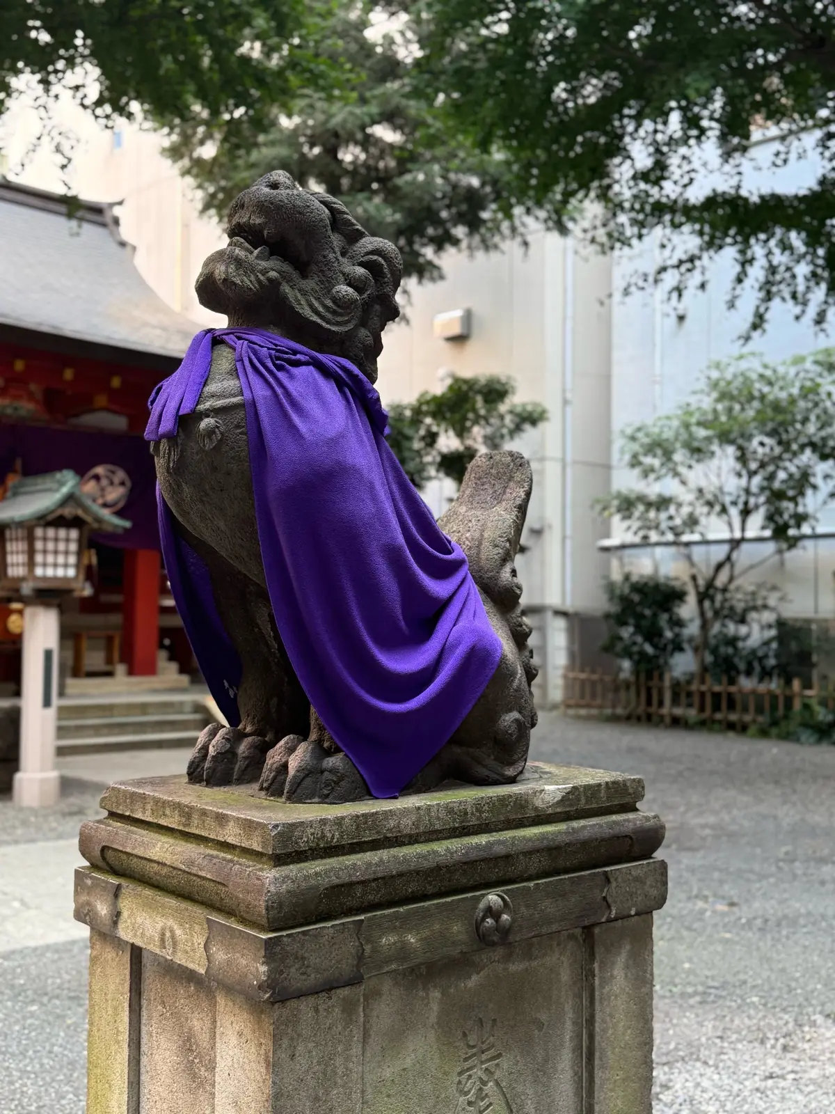 石造りの狛犬が、鮮やかな紫色の布で覆われた姿。台座の上に鎮座し、背景には朱色の社殿と緑豊かな木々が見える。