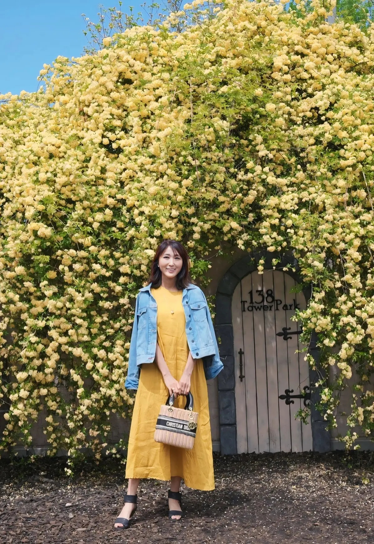 【木曽三川公園】マスタードイエローのリネの画像_13