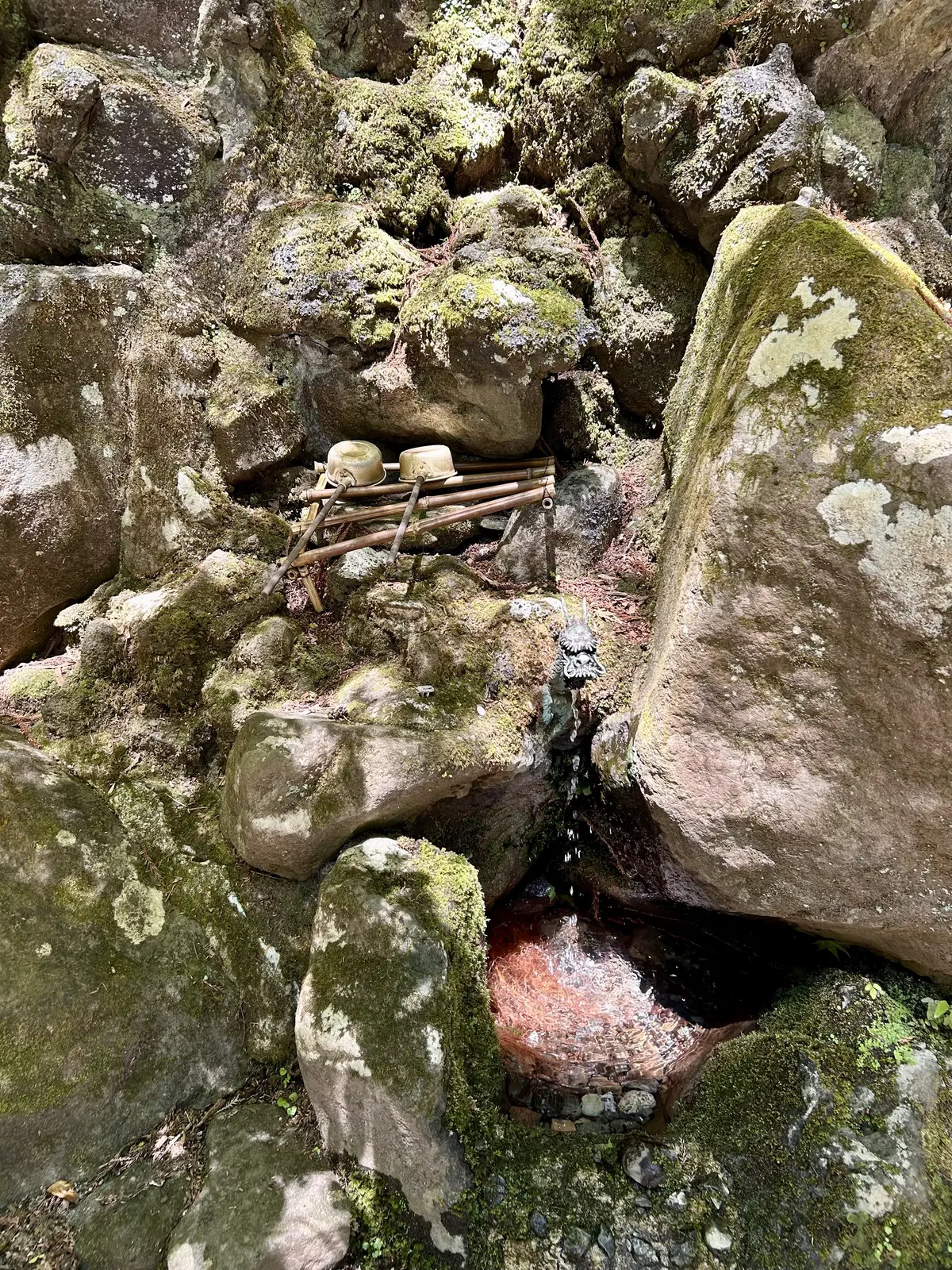 開創600年・南足柄にある大雄山最乗寺への画像_12