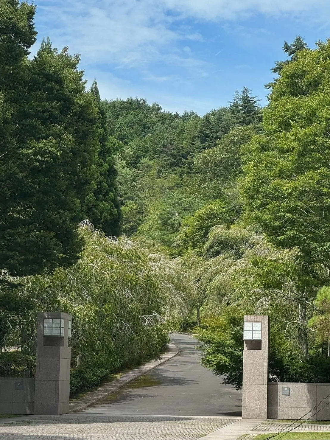 緑豊かな木々が両側に並ぶ、細い舗装された道。道の先に、灰色の柱が2本立っており、それぞれに小さな窓が設置されている。背景には、さらに多くの木々が生い茂り、青空が広がっている。