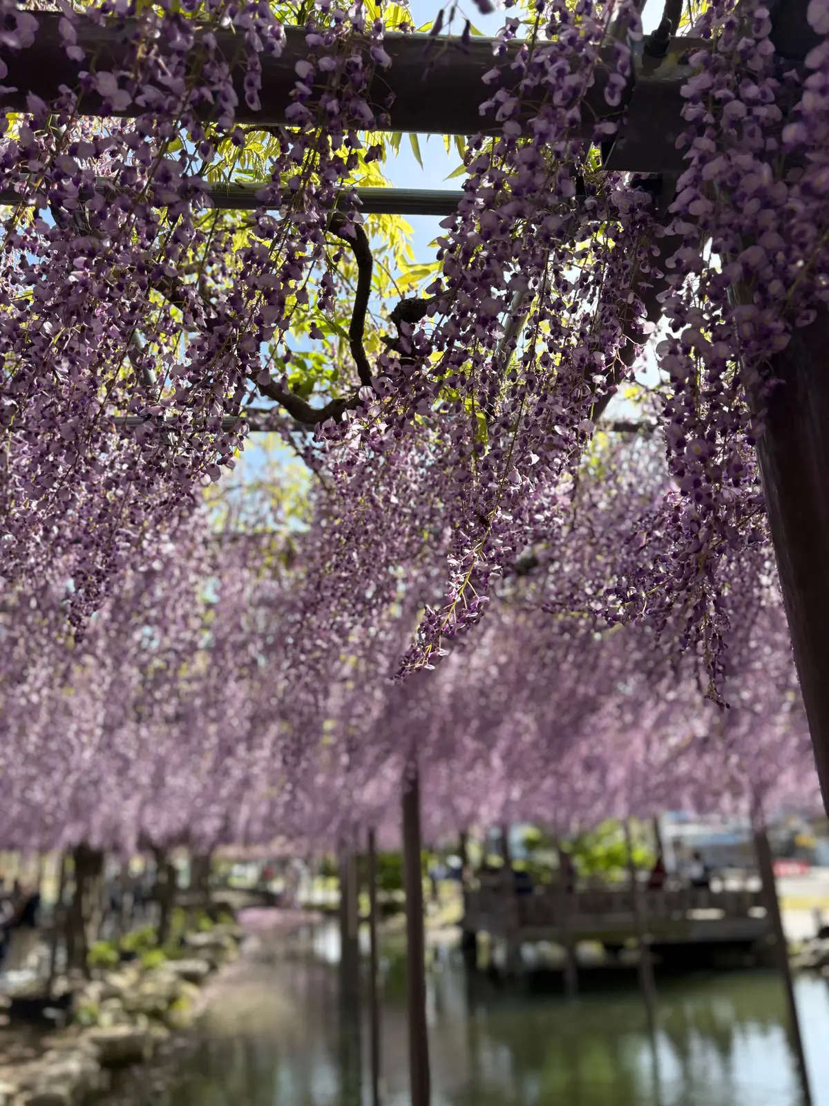 姉とふたり、笑いながら過ごした時間。の画像_7