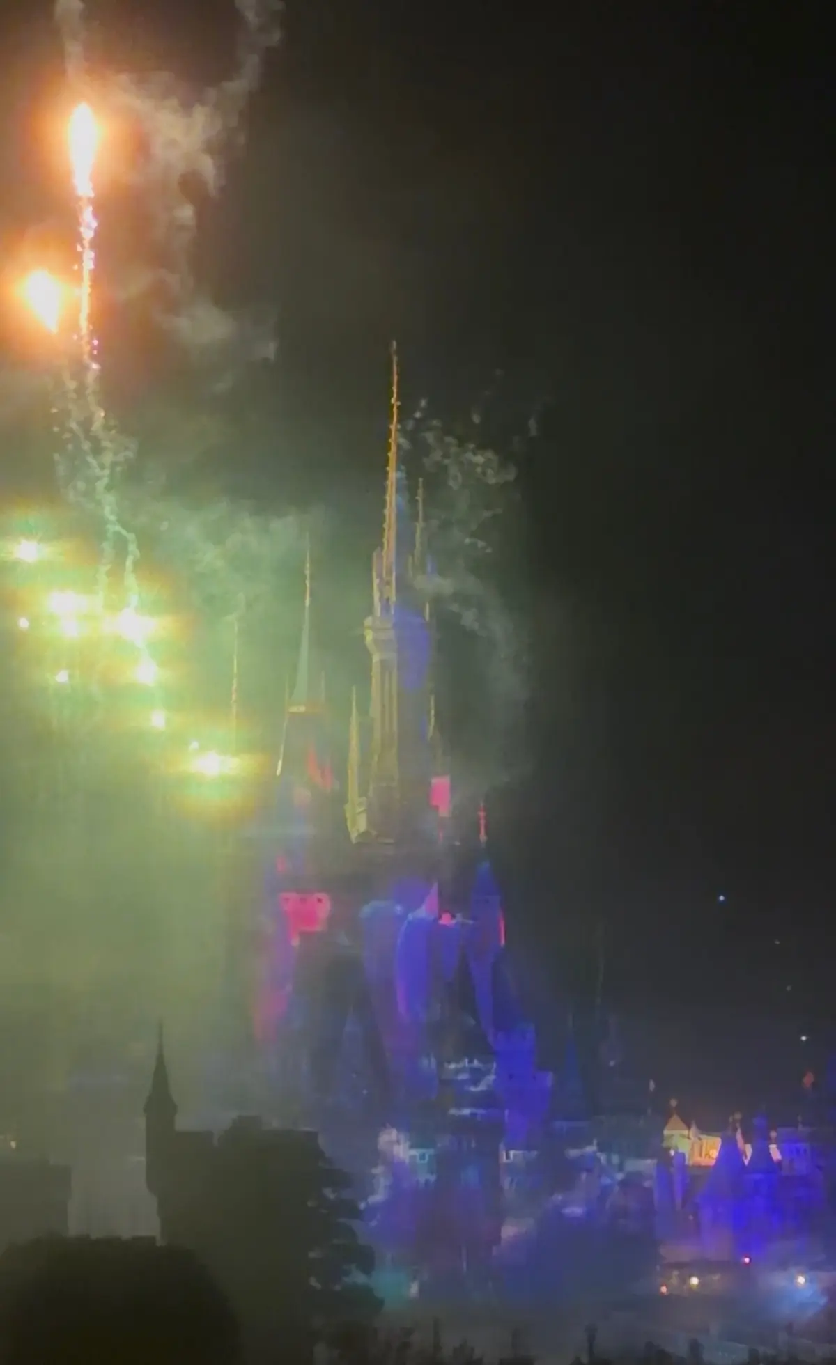 久しぶりのディズニーランドにお友達総勢1の画像_5