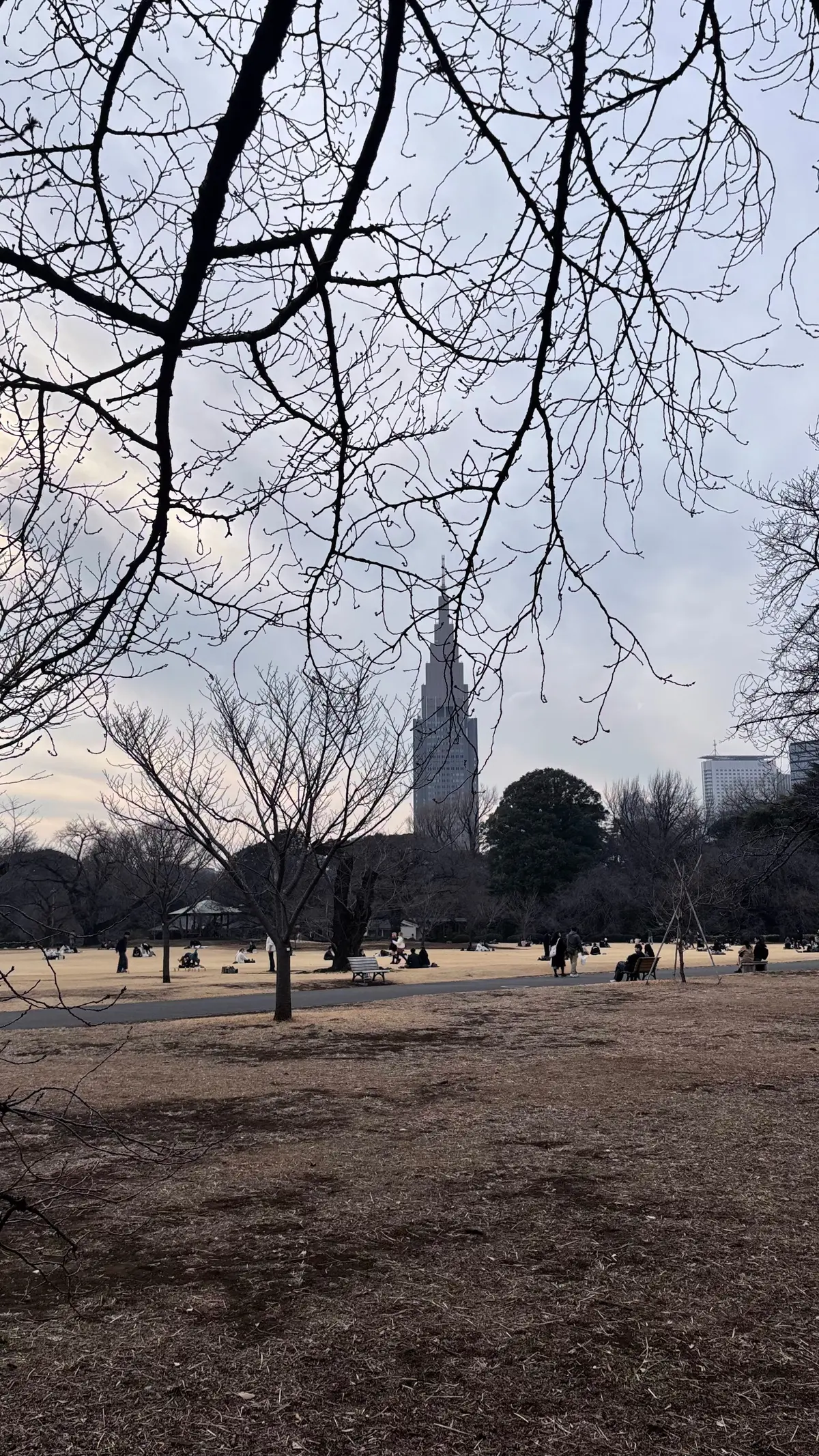 GUワントーンコーデで新宿御苑への画像_15