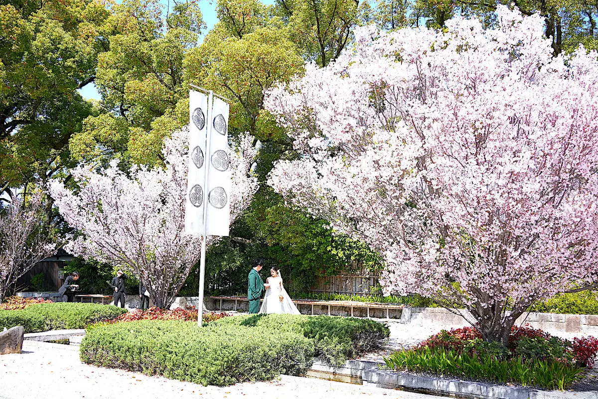 徳川園の東海桜が満開