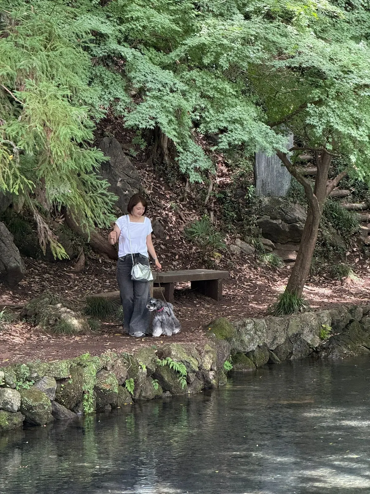 水辺に立つ女性と犬。女性は白いTシャツにベージュのズボン、犬は灰色の毛並み。背景には緑豊かな木々が茂り、石組みの縁に腰掛けたベンチがある。