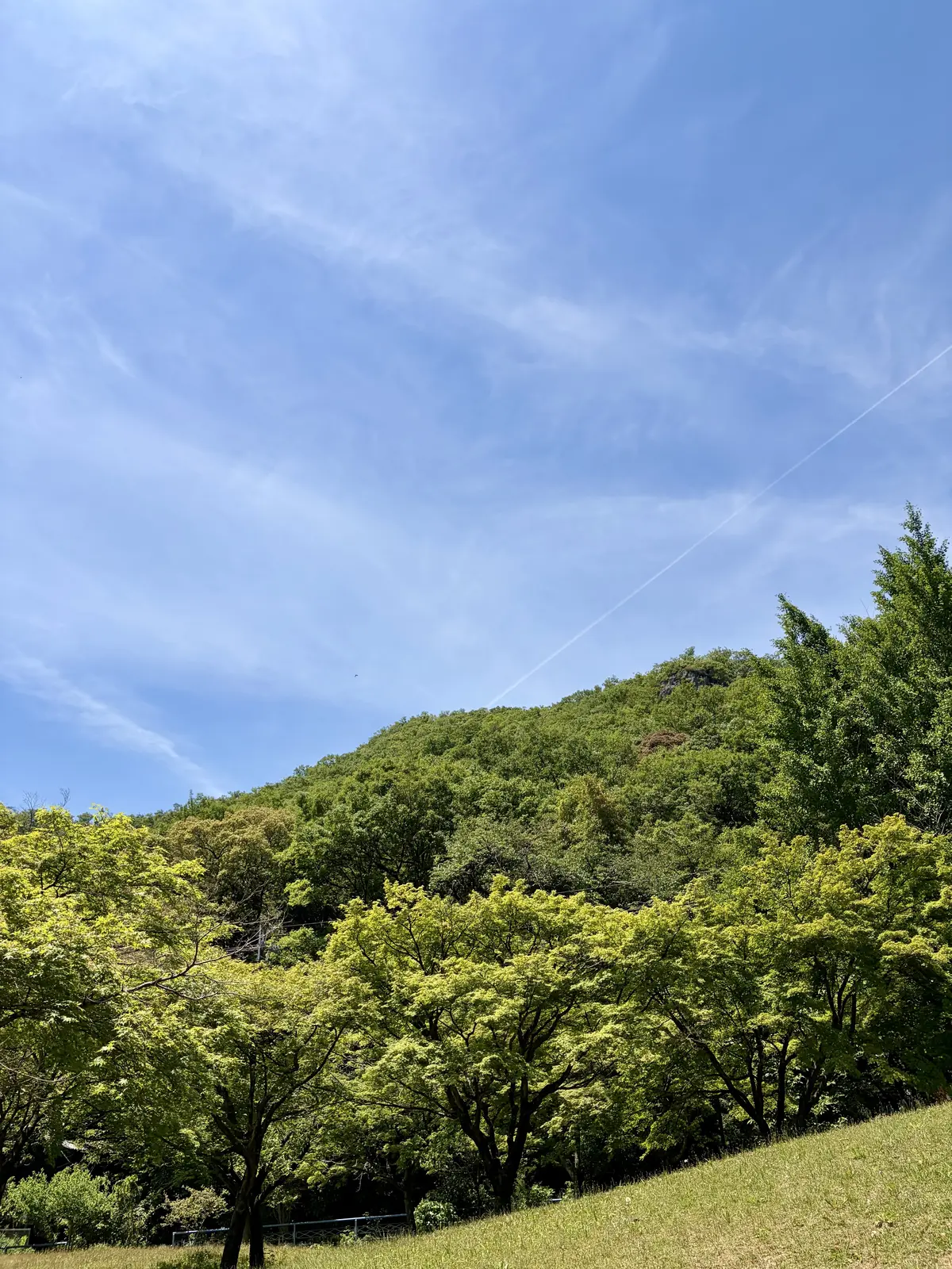 山の下で癒しのヨガタイム 🌿 かやぶき日の画像_1