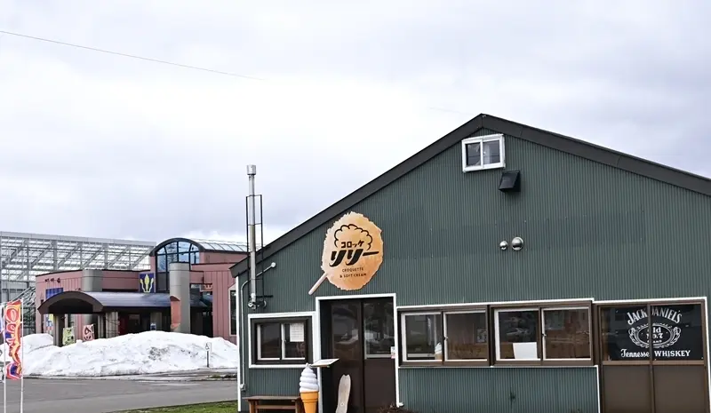 北海道真狩産のゆり根は生産量も品質も日本の画像_2