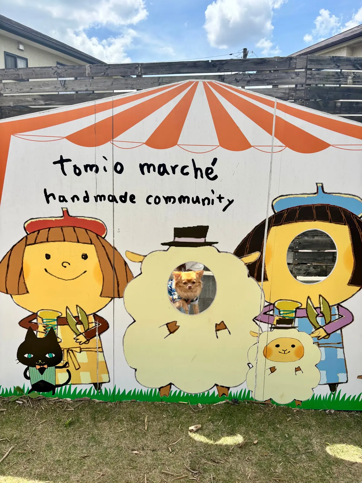 千葉へわんことおでかけ。ピクニックも楽しの画像_9