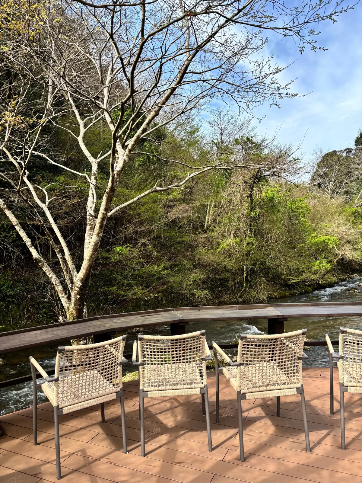 足湯に入りながら美味しいパンが食べられるの画像_1