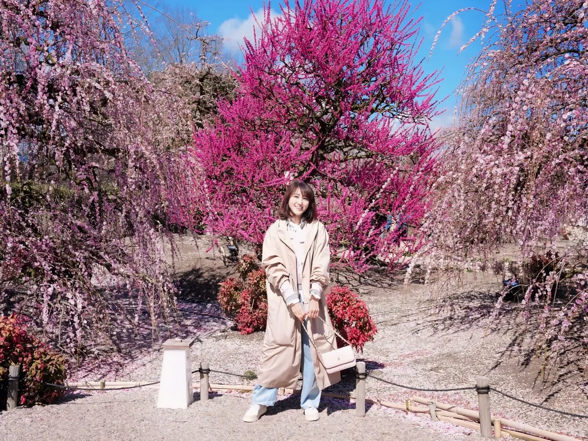 鈴鹿の森庭園にて開催中！