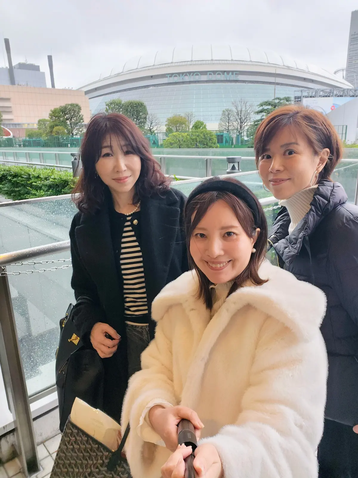 プロ野球、セ・リーグ、広島東洋カープ、横浜DeNAベイスターズ、カープ女子、小林誠司、東京ドーム、長嶋ゲート、王ゲート、野球殿堂博物館、Sizzler、東京ドームホテル、ペナントレース、順位予想