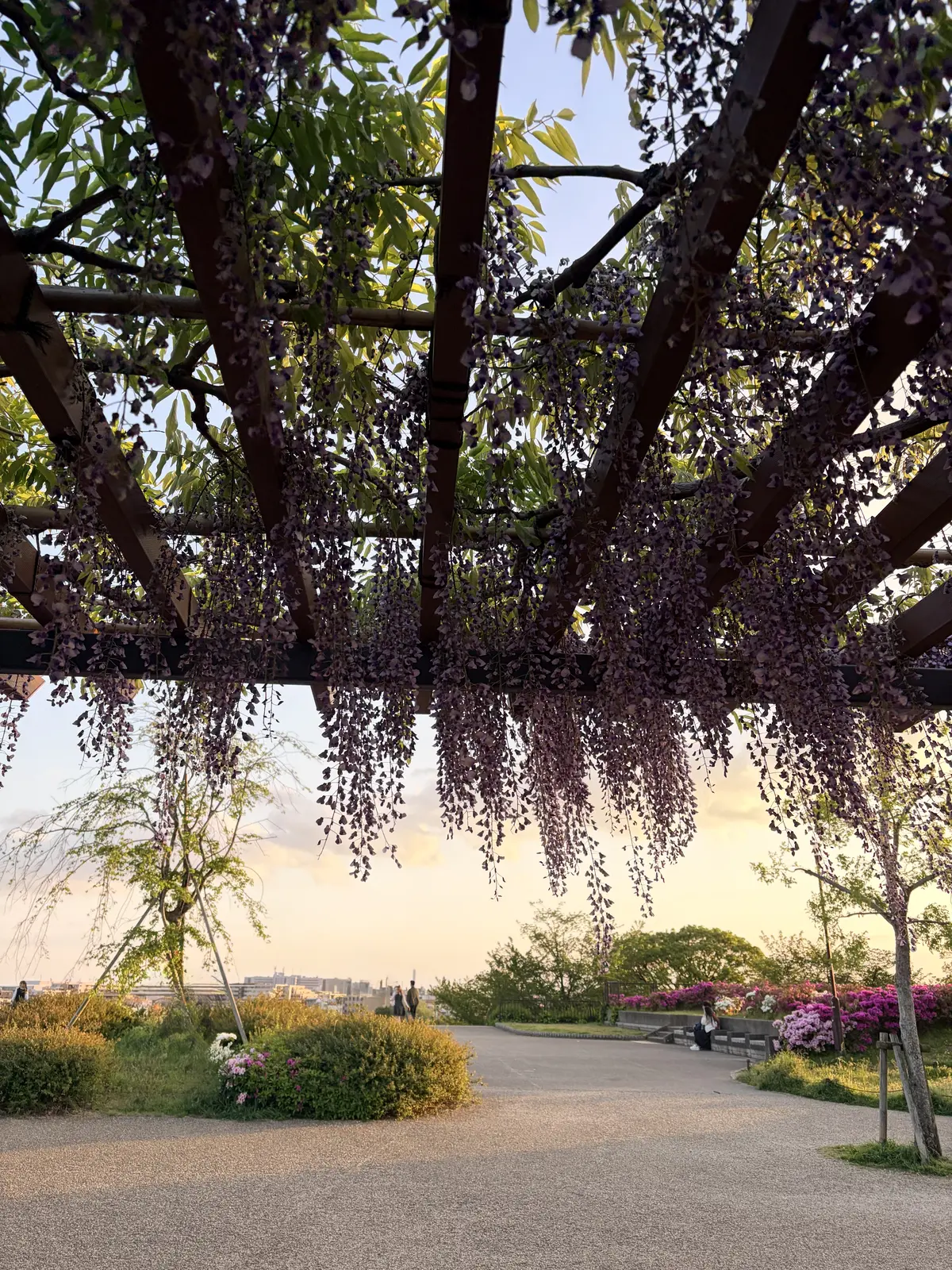 「デニムジャケットxカラーワンピース」大の画像_11