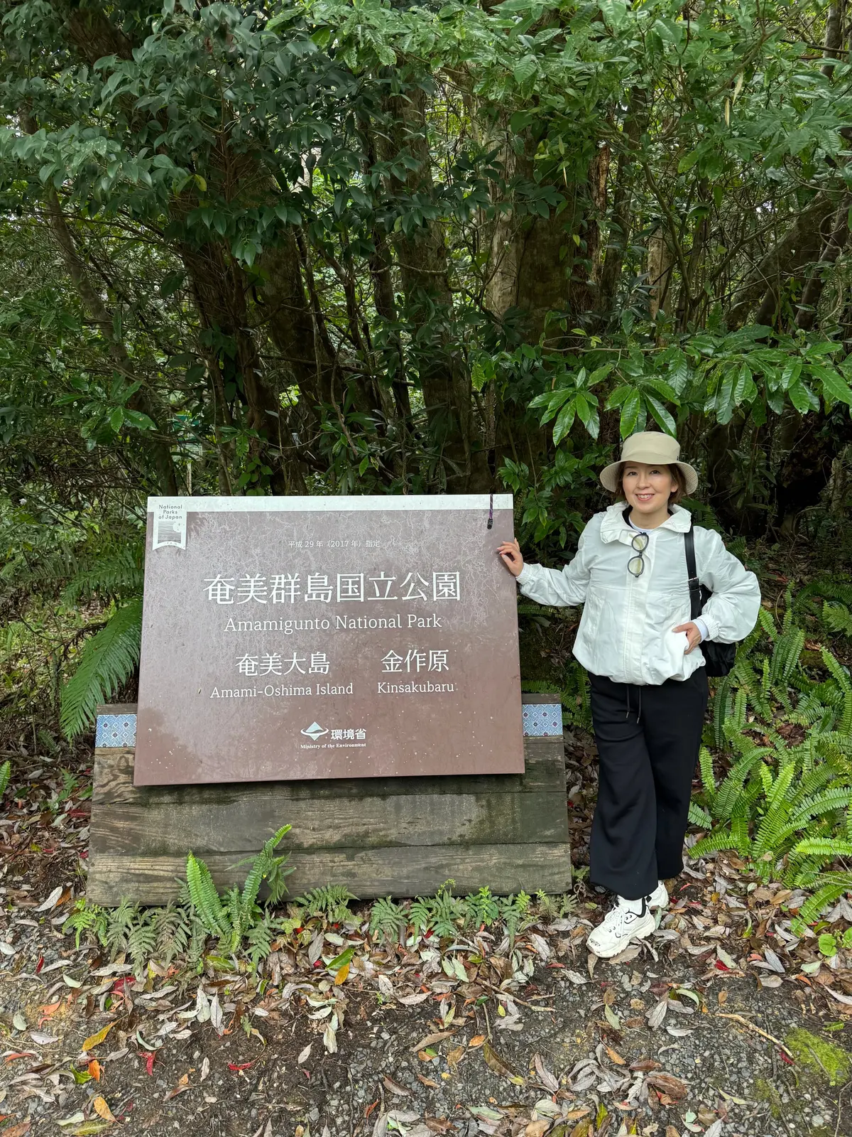 奄美大島の自然を満喫する旅①｜マングローの画像_3