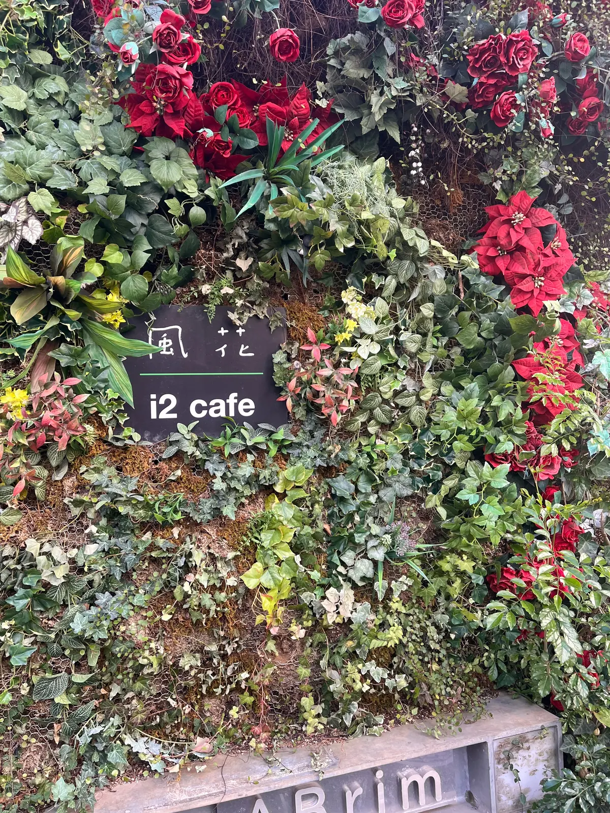 表参道モーニング