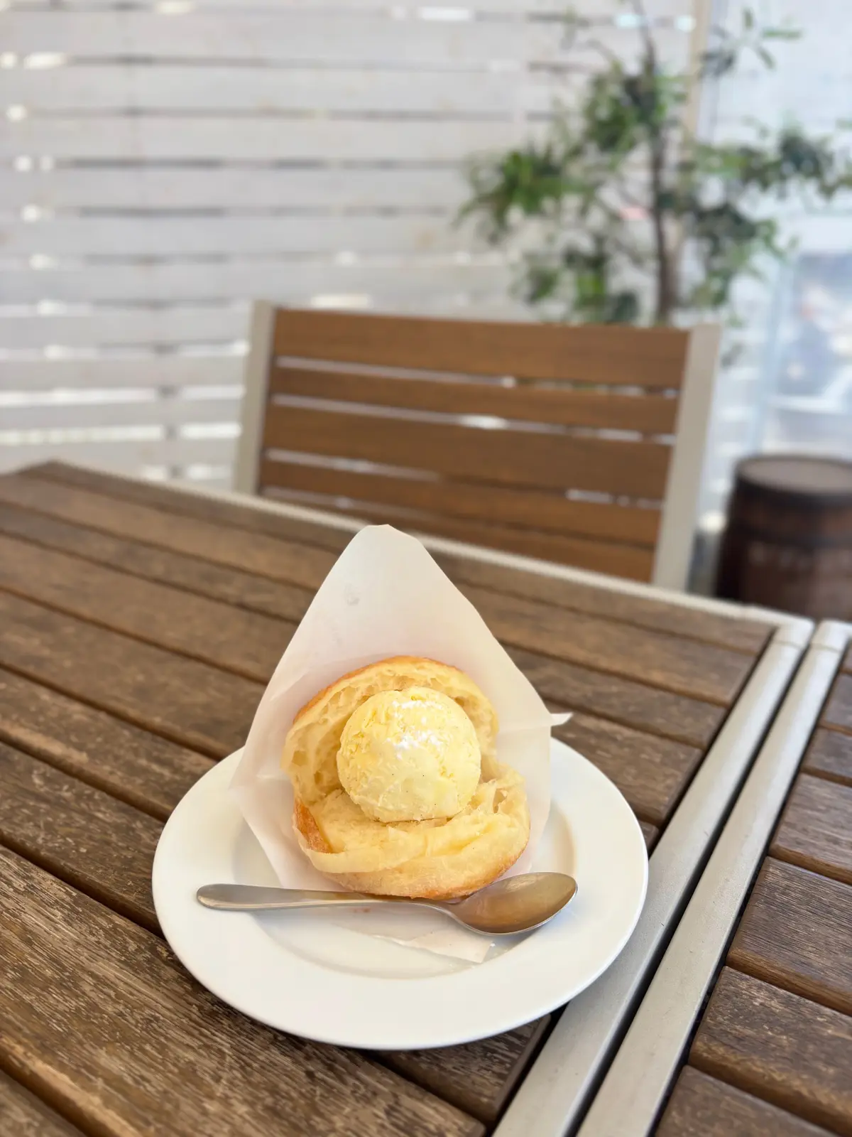 千葉へわんことおでかけ。ピクニックも楽しの画像_4