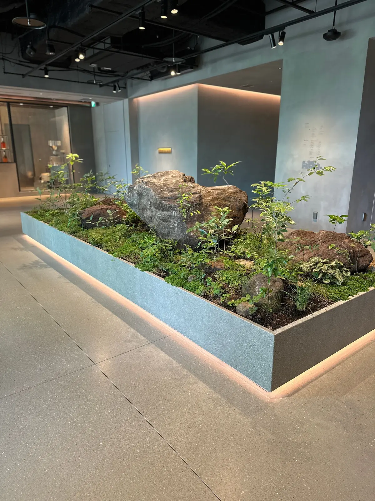 コンクリート製の長方形プランターに、苔、小さな植物、岩が配置された屋内ガーデンスペース。
