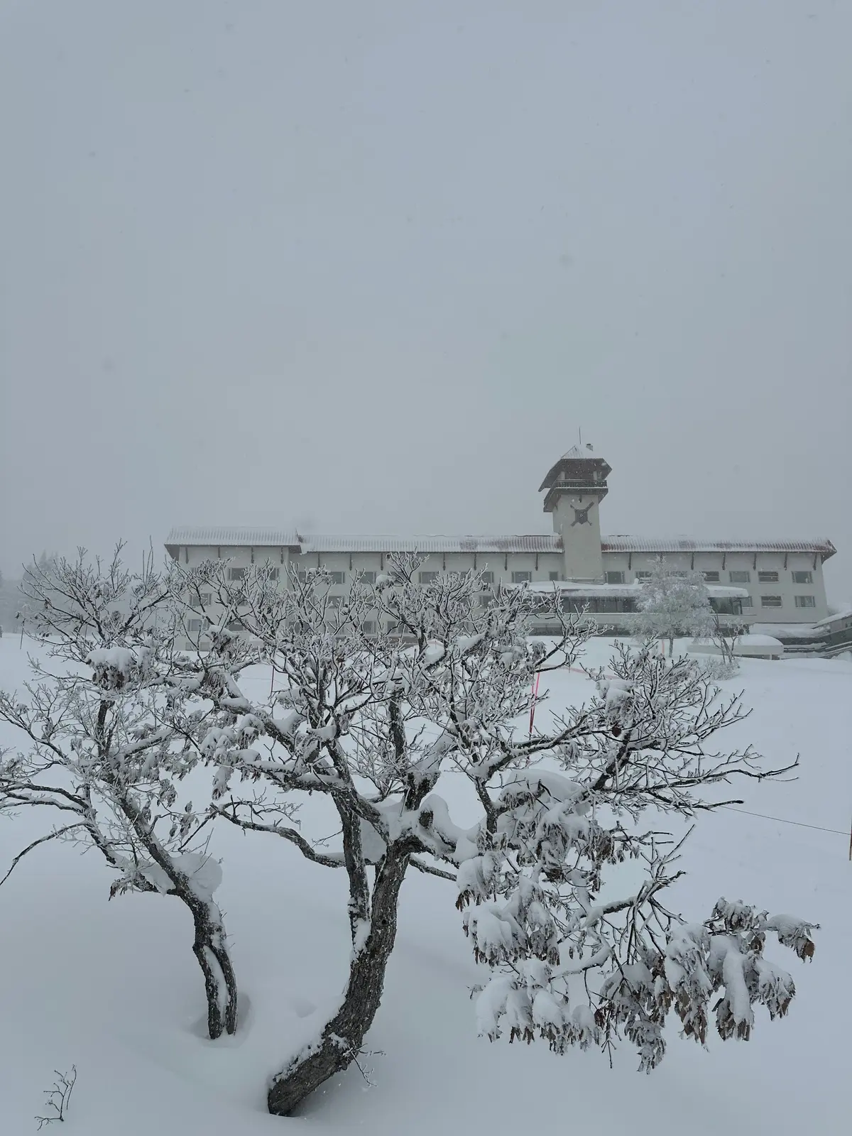 客室露天風呂付きのお部屋で、スキーをするの画像_1