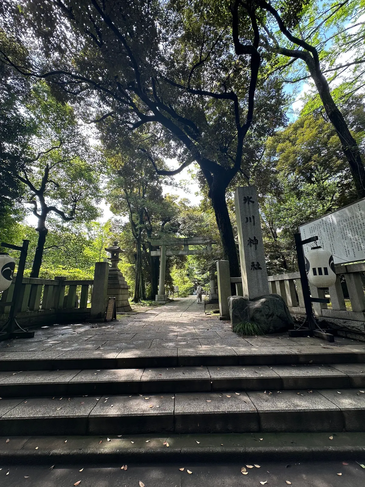 赤坂氷川神社　夏越大祓　茅の輪くぐり　厄除　縁結び　赤坂　六本木