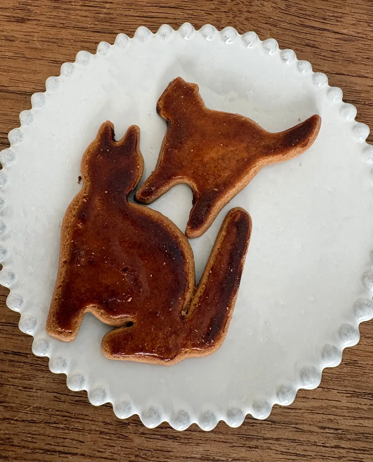 BONJOUR KUCHIBUEの猫クッキー2枚 エクラ編集部員の偏愛名品