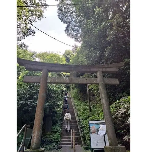 木製の鳥居が階段を挟んで設置され、背後には緑豊かな森が広がる山道。数人の観光客が階段を登っている。