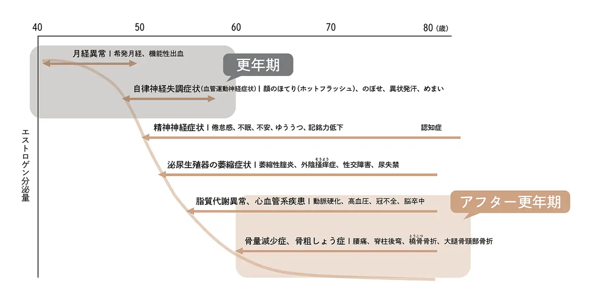 年齢（縦軸：エストロゲン分泌量）と年数（横軸：40～80歳）の関係を示すグラフ。40歳頃からエストロゲン分泌量は高く、50歳頃の更年期を境に急激に減少。60歳代以降はさらに減少傾向。各年代の生理的変化や症状が日本語で記載。