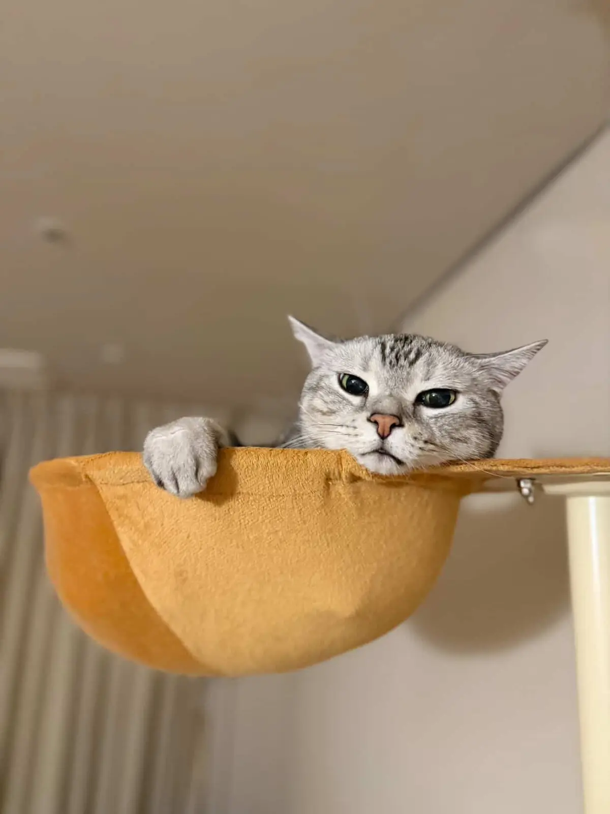 エクラプレミアム3月号カタログ撮影。“Mの画像_5