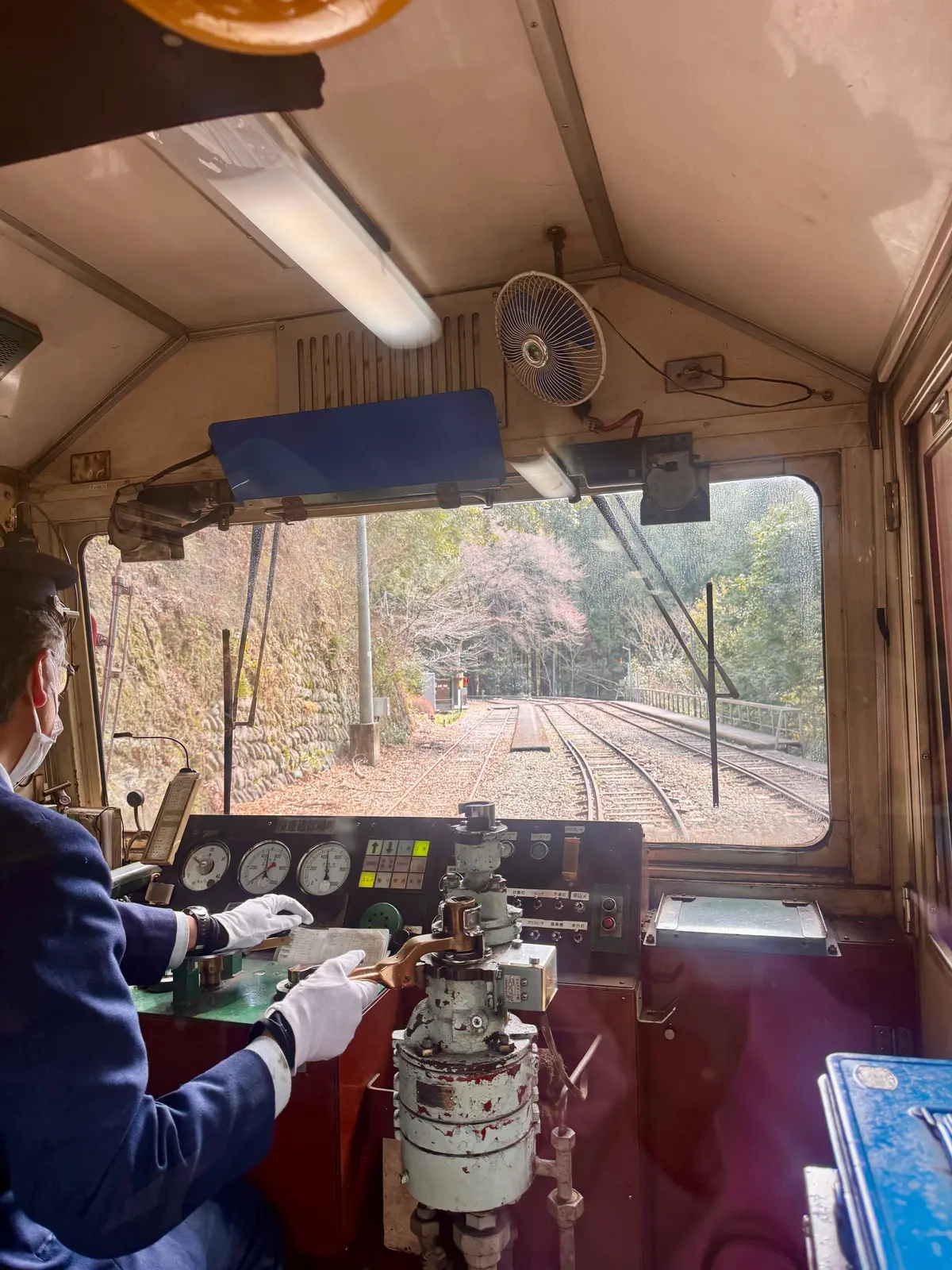 【絶景秘境】エメラルドグリーンの湖に浮かの画像_6