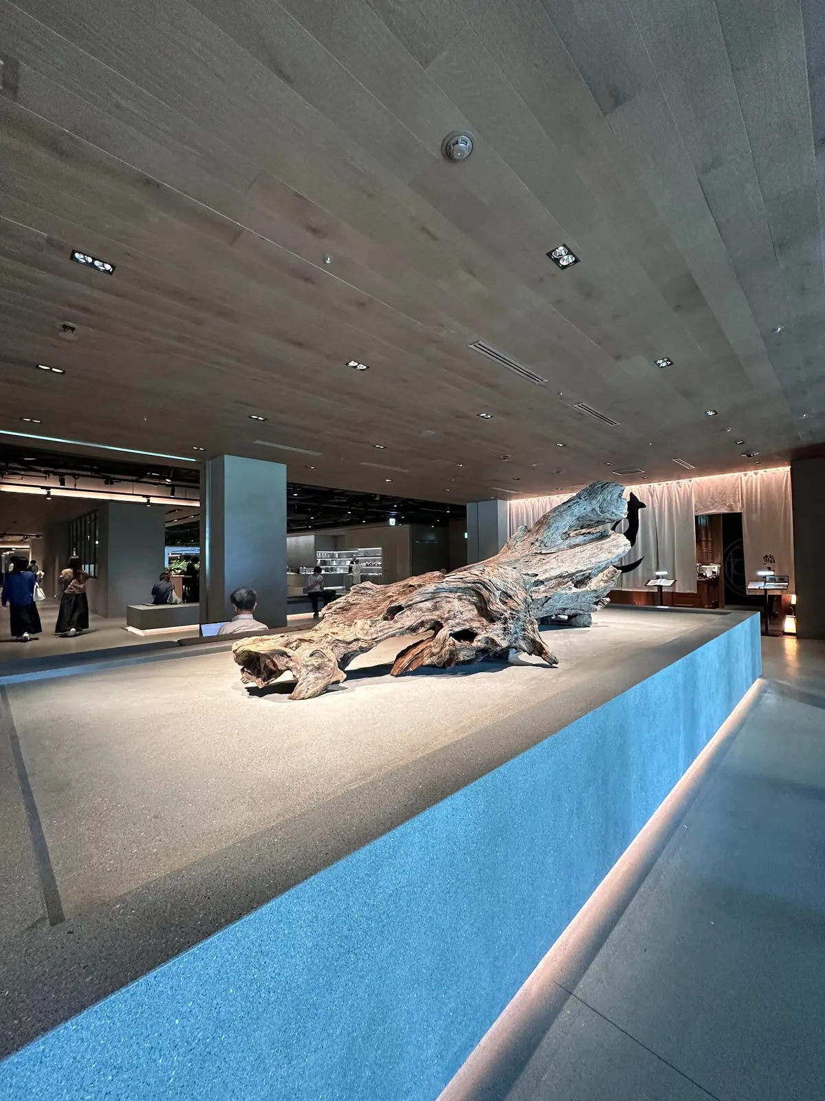 木製の天井とコンクリート床のモダンな空間。中央に大きな木の根の彫刻が展示され、周囲に数人の訪問者がいる。